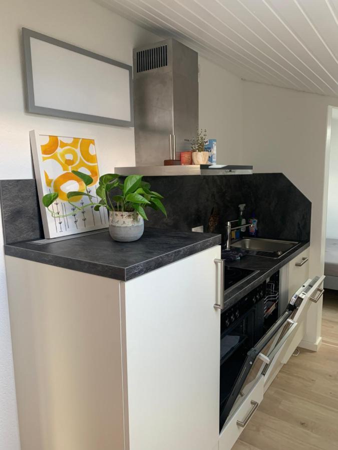 Schoene, Grosse Ferienwohnung Direkt Am Donauradweg & Keltenstadt Heuneburg Herbertingen المظهر الخارجي الصورة