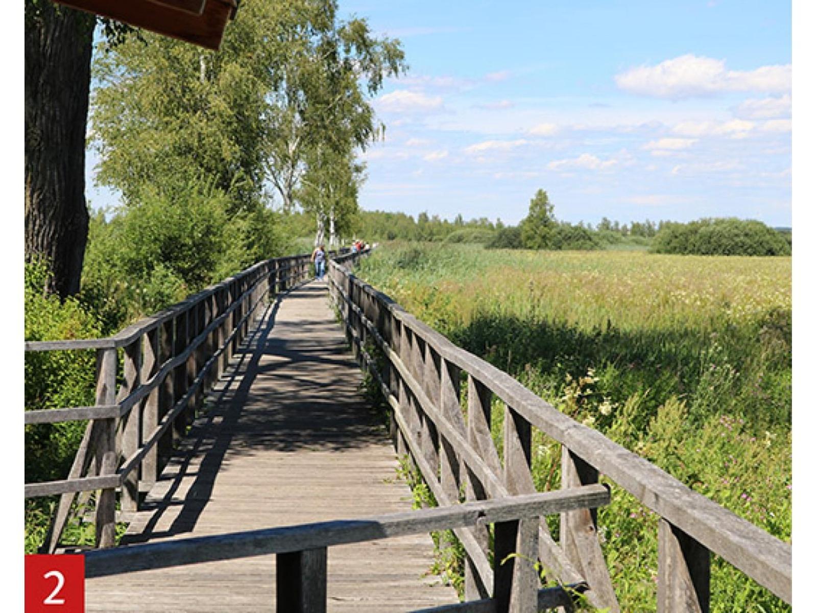 Schoene, Grosse Ferienwohnung Direkt Am Donauradweg & Keltenstadt Heuneburg Herbertingen المظهر الخارجي الصورة